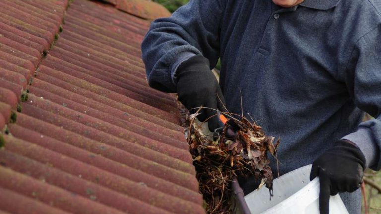 Someone cleaning a gutter of leaves and debris