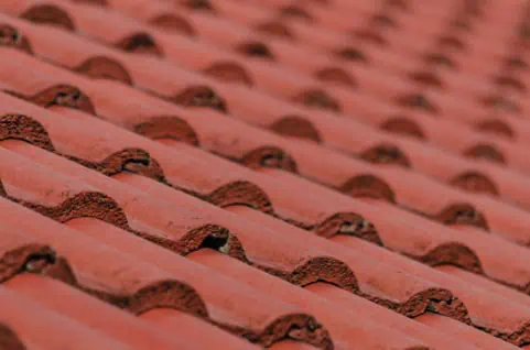 Terracotta roof