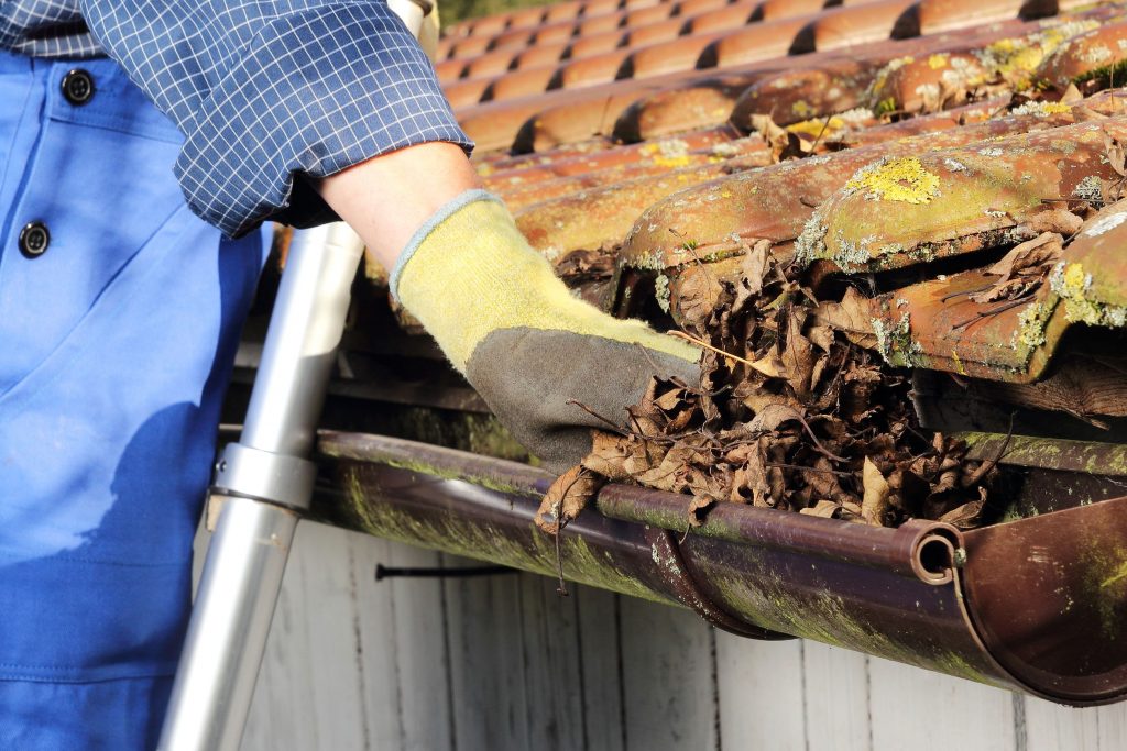 Someone on a ladder cleaning out the gutters