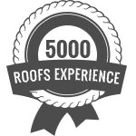 5000 Roofs Experience icon