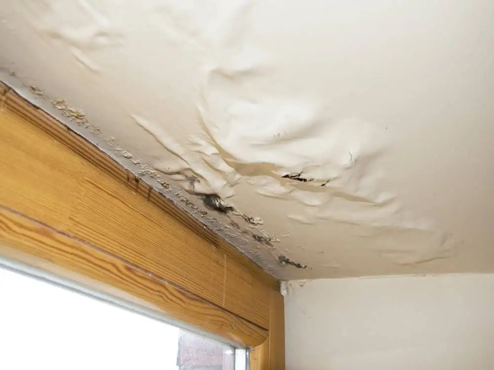 Water damaged ceiling next to a window