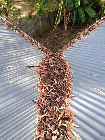 Metal roof valley blocked with leaves