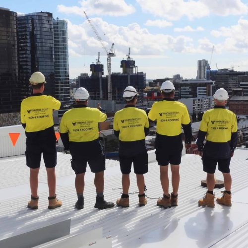 Vantage point team on a commercial metal roof